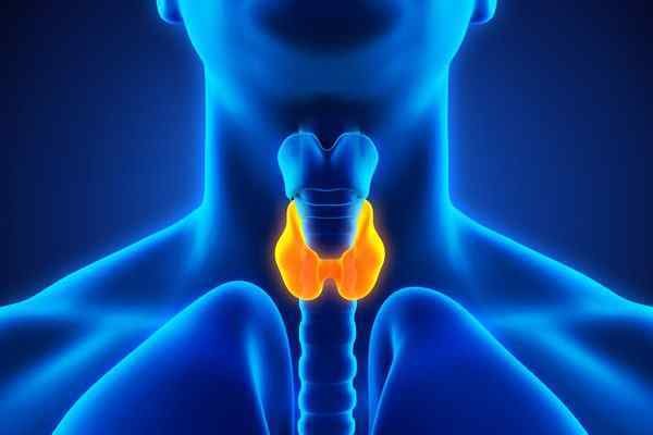 Thyroid थायराइड